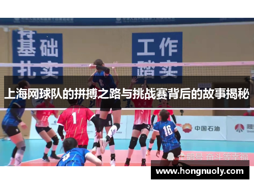 上海网球队的拼搏之路与挑战赛背后的故事揭秘