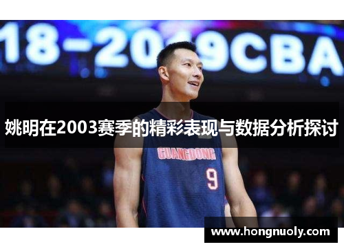 姚明在2003赛季的精彩表现与数据分析探讨