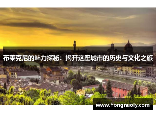 布莱克尼的魅力探秘：揭开这座城市的历史与文化之旅