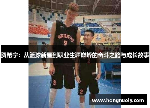 贺希宁：从篮球新星到职业生涯巅峰的奋斗之路与成长故事